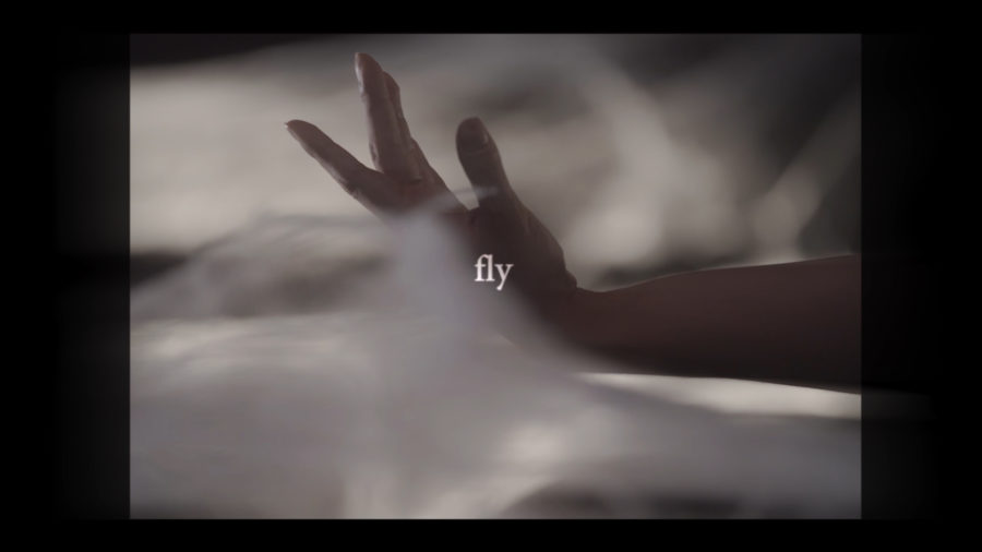 music video hand fly