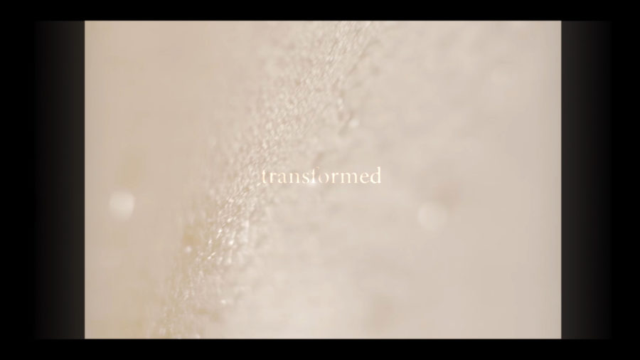 music video skin transformed macro