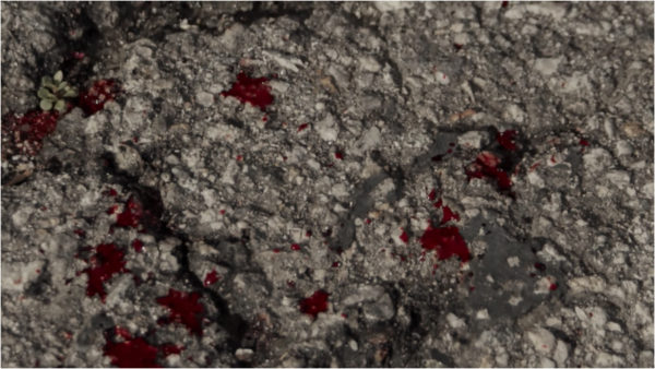 blood on the pavement